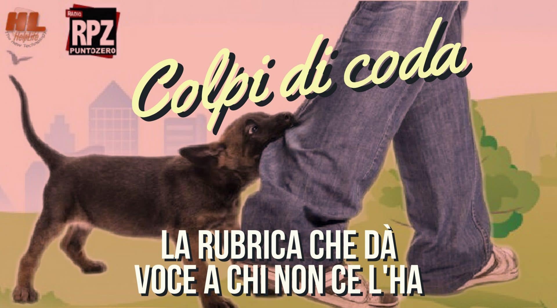 IMG_2034_copia Progetto Zampa Solidale